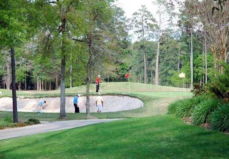 Heritage Place Houston Brookhollow Faciliteter billede